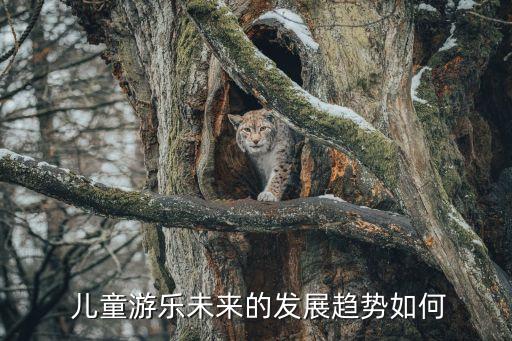  儿童游乐未来的发展趋势如何