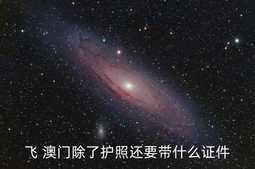 飞 澳门除了护照还要带什么证件