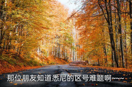 那位朋友知道悉尼的区号难题啊~~~
