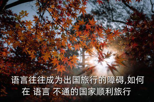 去国外旅游语言不通怎么办,去意大利旅游语言不通怎么办