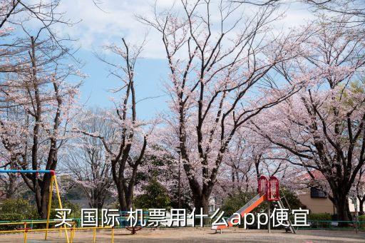 买 国际 机票用什么app便宜