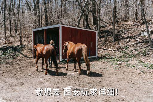 我想去 西安玩求详细!