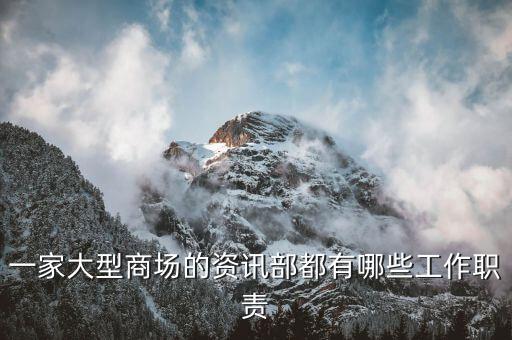 一家大型商场的资讯部都有哪些工作职责