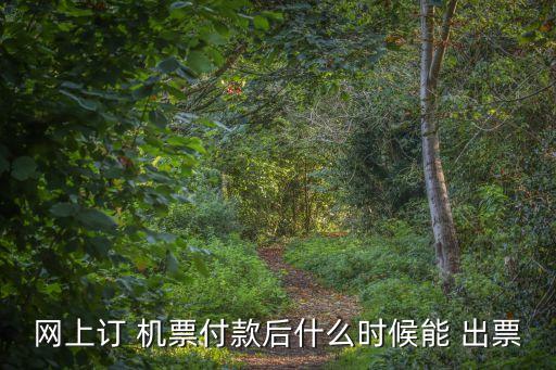 国际机票出票需要多久,去哪儿国际机票一般多久出票