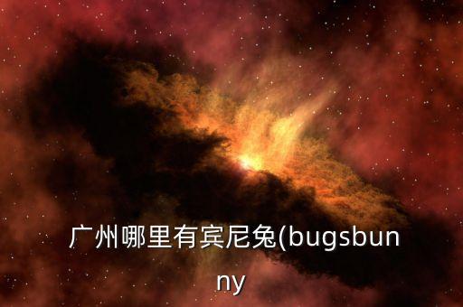  广州哪里有宾尼兔(bugsbunny