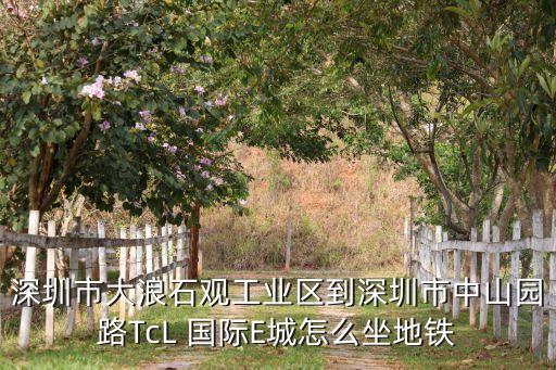 tcl国际e城 地址,深圳去tcl国际e城怎么坐地铁?