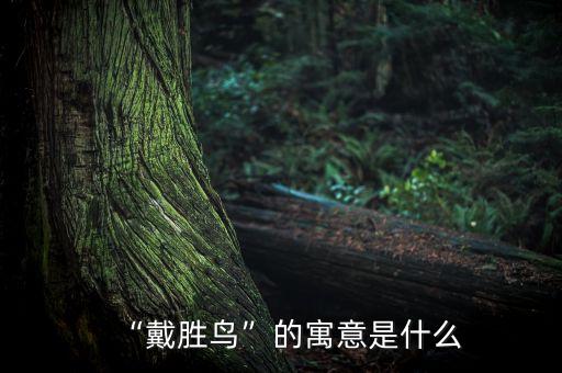 西安千禧鸟国际减肥,千禧鸟减肥是真的吗