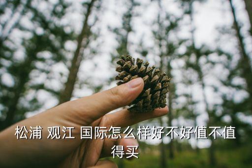 松浦 观江 国际怎么样好不好值不值得买