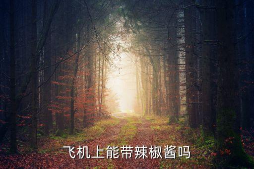飞机上能带辣椒酱吗