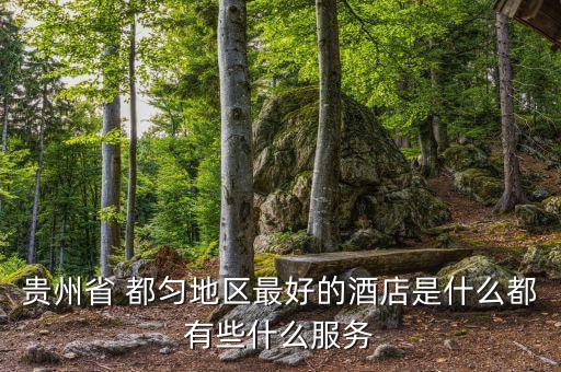 贵州省 都匀地区最好的酒店是什么都有些什么服务