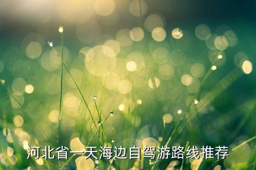 沧州盛泰国际酒店电话查询