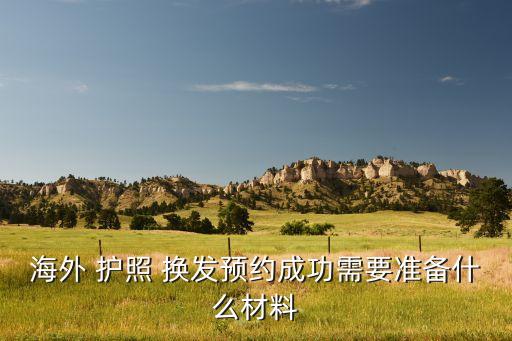 海外 护照 换发预约成功需要准备什么材料