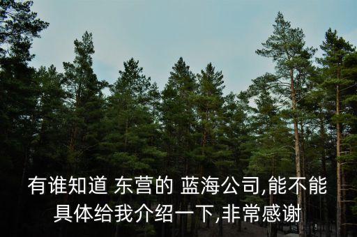 有谁知道 东营的 蓝海公司,能不能具体给我介绍一下,非常感谢