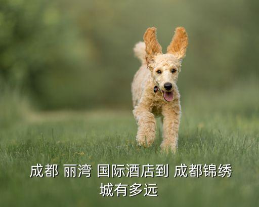 成都丽湾国际