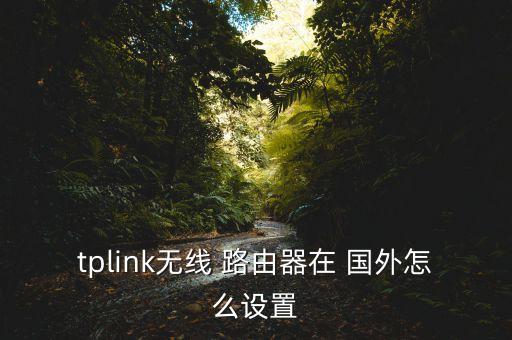 国外路由