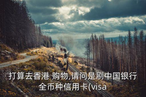 国外购物用什么卡,在国外购物什么情况下可以退税