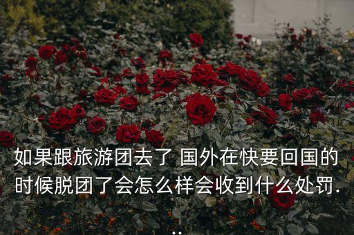 如果跟旅游团去了 国外在快要回国的时候脱团了会怎么样会收到什么处罚...