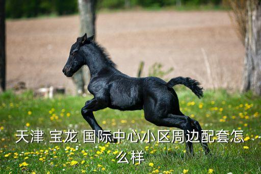 新乡市宝龙国际1号楼,去新乡宝龙城市广场坐几路车?