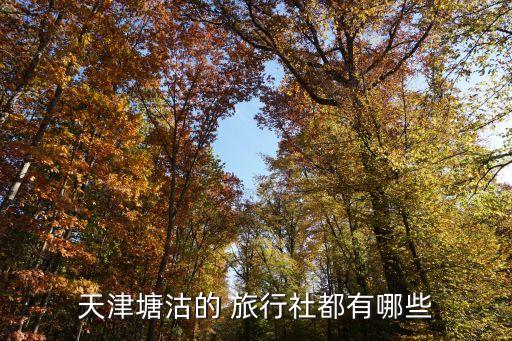 营口国际旅行社,北京国际旅行社官方网站