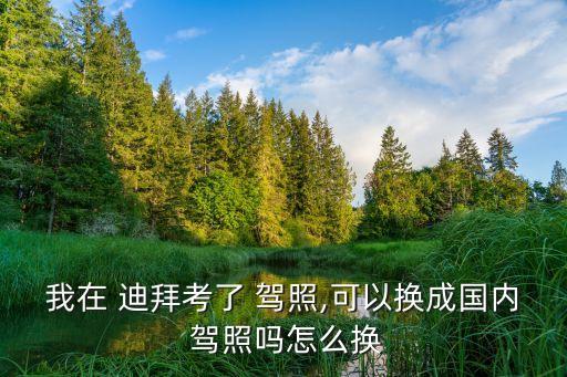 我在 迪拜考了 驾照,可以换成国内 驾照吗怎么换