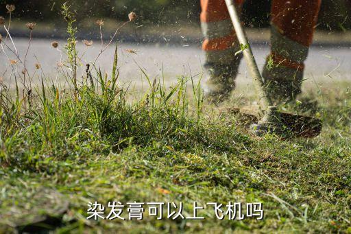 染发膏可以上飞机吗