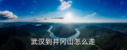武汉到井冈山怎么走
