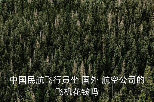 国外航空公司在中国,中国国际航空是大型航空公司国内国外都飞