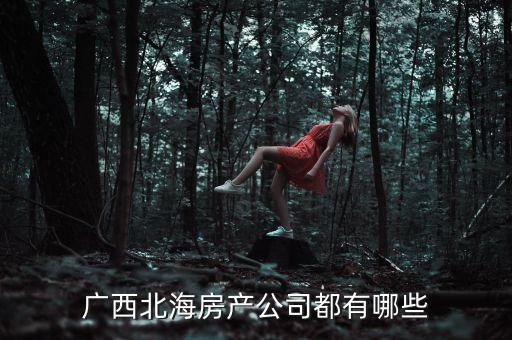广西北海房产公司都有哪些