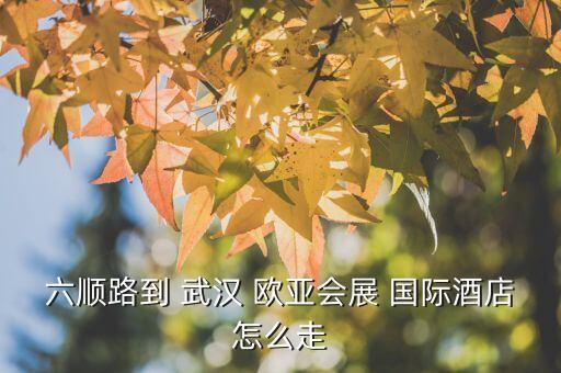 六顺路到 武汉 欧亚会展 国际酒店怎么走