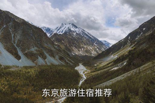 国外旅馆设计,山地旅馆设计说明