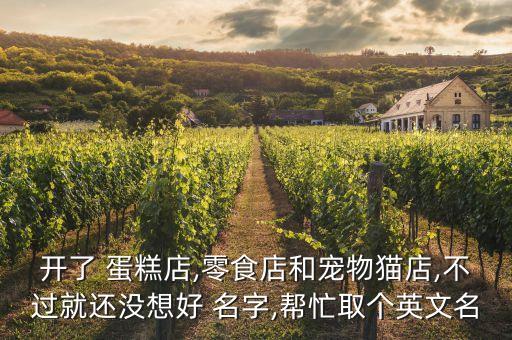 开了 蛋糕店,零食店和宠物猫店,不过就还没想好 名字,帮忙取个英文名