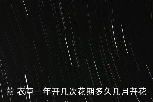 薰 衣草一年开几次花期多久几月开花