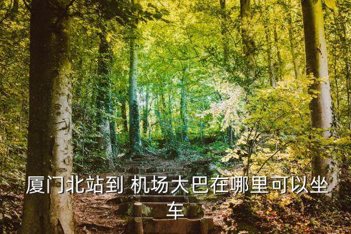  厦门北站到 机场大巴在哪里可以坐车