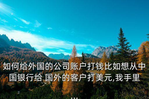 美金汇款国外,国外怎么汇款到中国账户