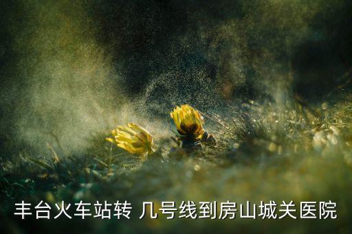 丰台火车站转 几号线到房山城关医院