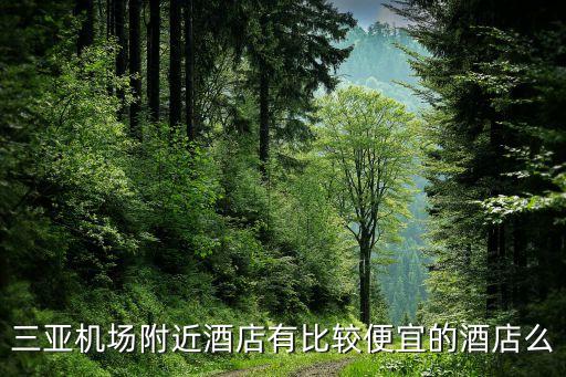 三亚机场附近酒店有比较便宜的酒店么
