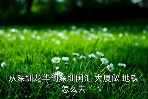 从深圳龙华到深圳国汇 大厦做 地铁怎么去