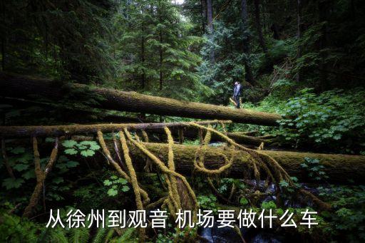 从徐州到观音 机场要做什么车