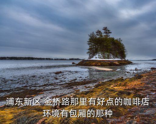 浦东新区 金桥路那里有好点的咖啡店环境有包厢的那种