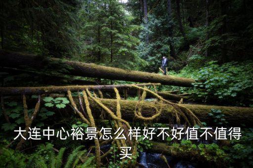  大连中心裕景怎么样好不好值不值得买