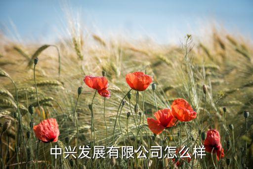 中兴发展有限公司怎么样