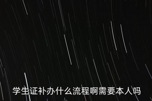 国际学生证 身份证丢失,四级身份证丢了可以用学生证吗