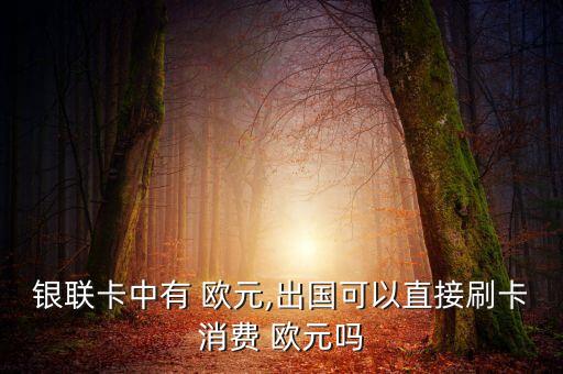 在中国用国外卡取欧元,国外卡如何在国内取欧元