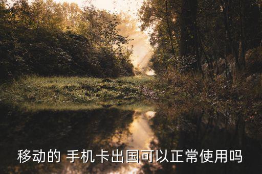 手机到国外还能用吗,到国外手机怎么上网