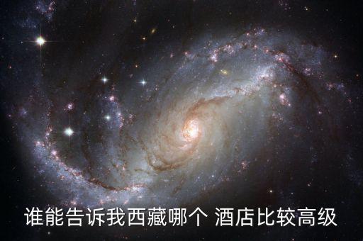 谁能告诉我西藏哪个 酒店比较高级