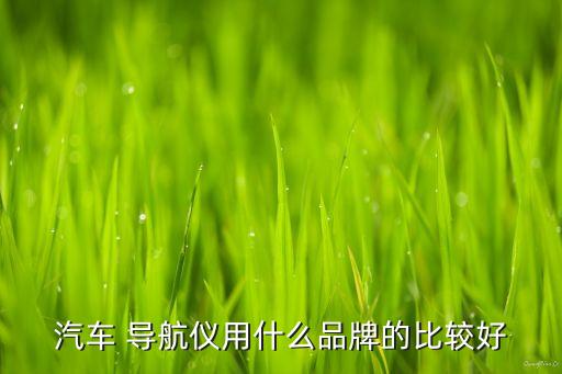 汽车 导航仪用什么品牌的比较好