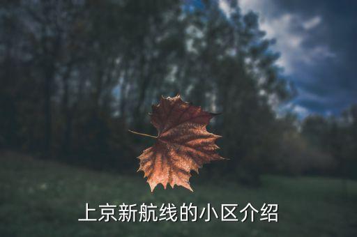 望京 国际医院,望京社区医院电话