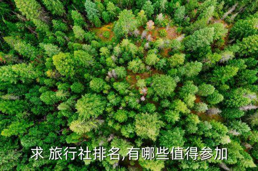 求 旅行社排名,有哪些值得参加