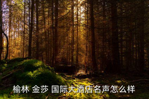 滨州金莎国际会所,金莎国际会所是什么样的地方