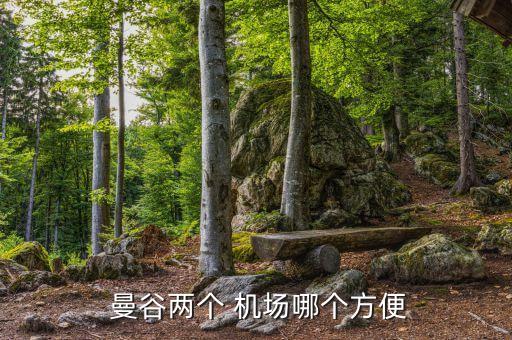 曼谷两个 机场哪个方便